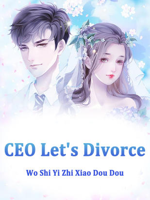 CEO, Let's Divorce